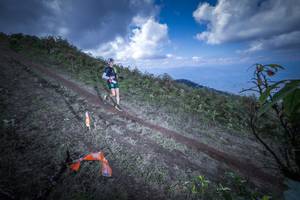 BIB: 500
                            <button type="button" onclick="openModal(15955162)" class="btn btn-primary btn-sm float-right btn-popup" data-toggle="modal" data-target=".modal-high-quality">
                        <i class="fas fa-shopping-cart"></i> Add to Cart
                    </button>
                                            <button type="button" onclick="isThisMe(15955162, true)" class="btn btn-success btn-sm float-right btn-popup btn-isme hidden" data-toggle="tooltip" data-placement="bottom" title="นี่คือรูปของคุณใช่ไหม คลิกที่นี่เพื่อเอาเข้าอัลบั้ม">
                        <i class="fas fa-plus"></i> Add to album
                    </button>
                    <button type="button" onclick="isThisMe(15955162, false)" class="btn btn-warning btn-sm float-right btn-popup btn-isnotme hidden">
                        <i class="fas fa-ban"></i> Remove from album
                    </button>